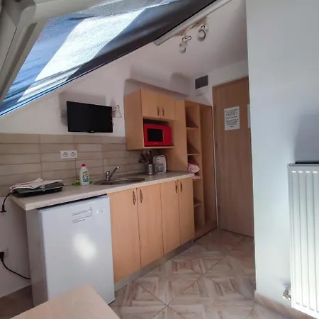 Casa Rezidentiala Pasteur * Κλουζ-Ναπόκα