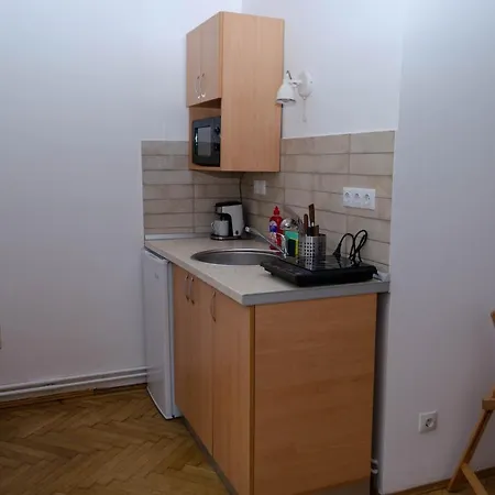 Casa Rezidentiala Pasteur *