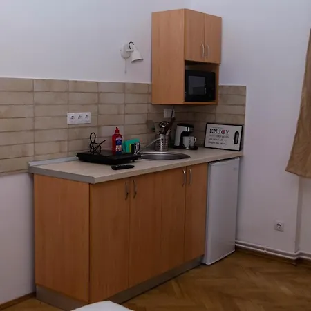 Casa Rezidentiala Pasteur Apartment Cluj-Napoca