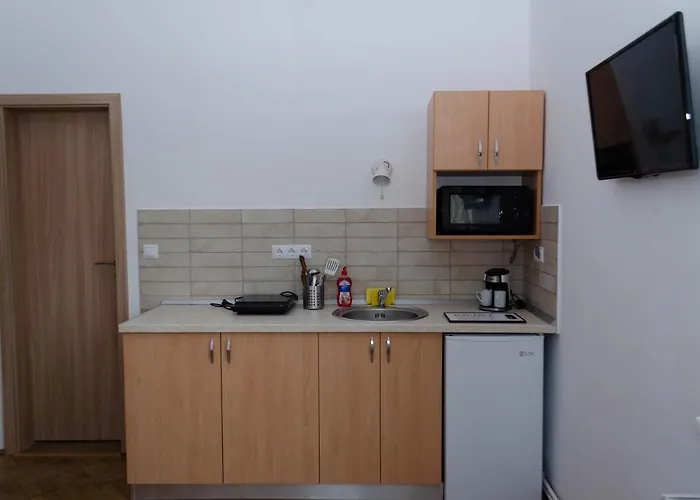 Casa Rezidentiala Pasteur * Cluj-Napoca