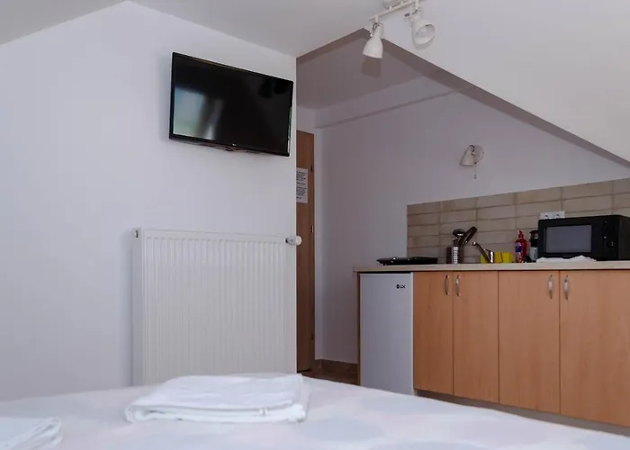 Casa Rezidentiala Pasteur * Kluż-Napoka